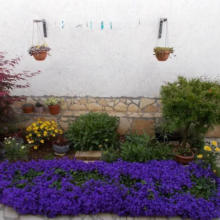 Dragana Apartment